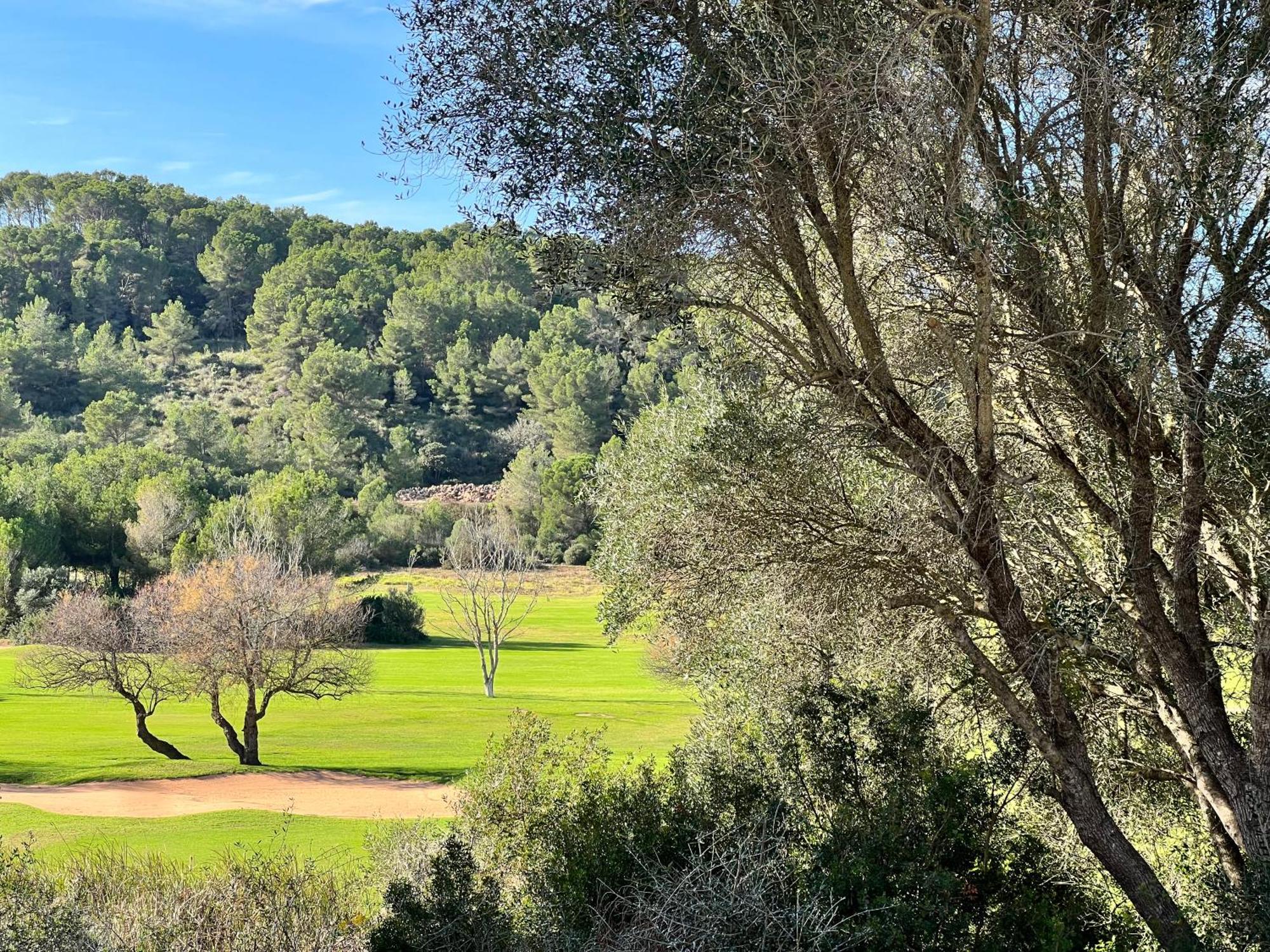 Disfruta Del Paraiso Son Parc Buitenkant foto
